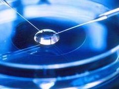 泰国试管移植后腿发酸是成功了吗？