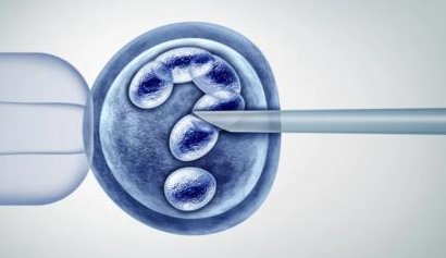 德州权威助孕公司排行，德州顶尖助孕机构助力幸福孕育之旅