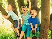 2026年合肥试管婴儿成功率哪家高？助孕机构实力排行榜揭晓！